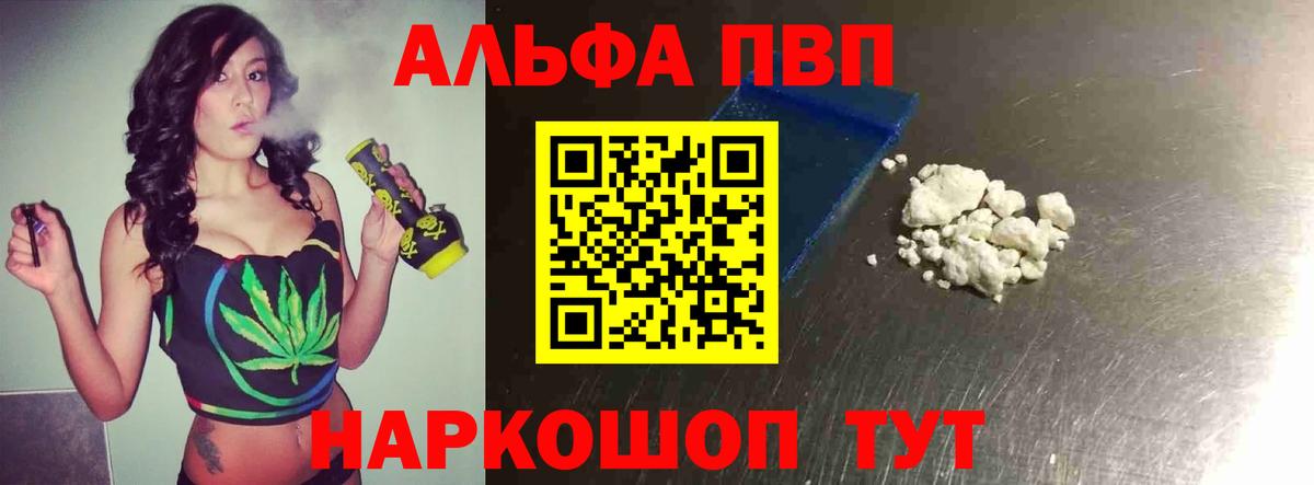 Альфа ПВП СК Каменка
