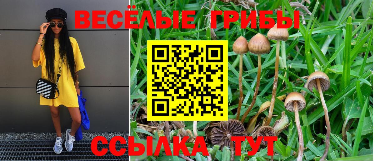 Гашиш  Канабис  Каменка  Альфа ПВП СОЛЬ кристаллы  ТГК  Экстази  Где продают наркотики?  МЕФ   Вход с VPN 