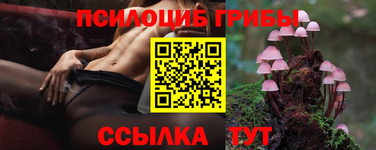 Галлюциногенные грибы Cubensis Каменка